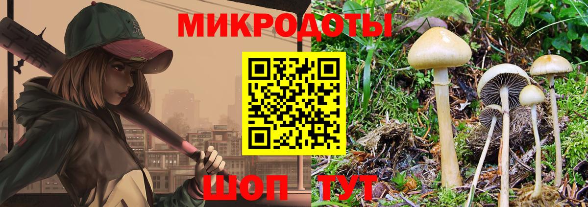 Псилоцибиновые грибы прущие грибы Богородицк
