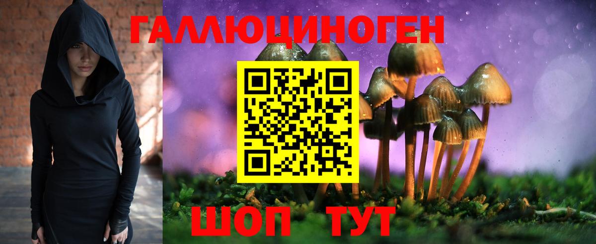 Богородицк  Псилоцибиновые грибы мухоморы  Вход с VPN  Галлюциногенные грибы ЛСД 